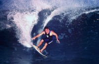 taylor-knox