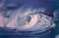 waimea-shorey